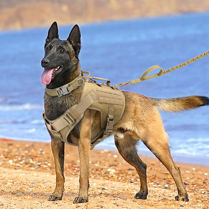 Colete Tático K9