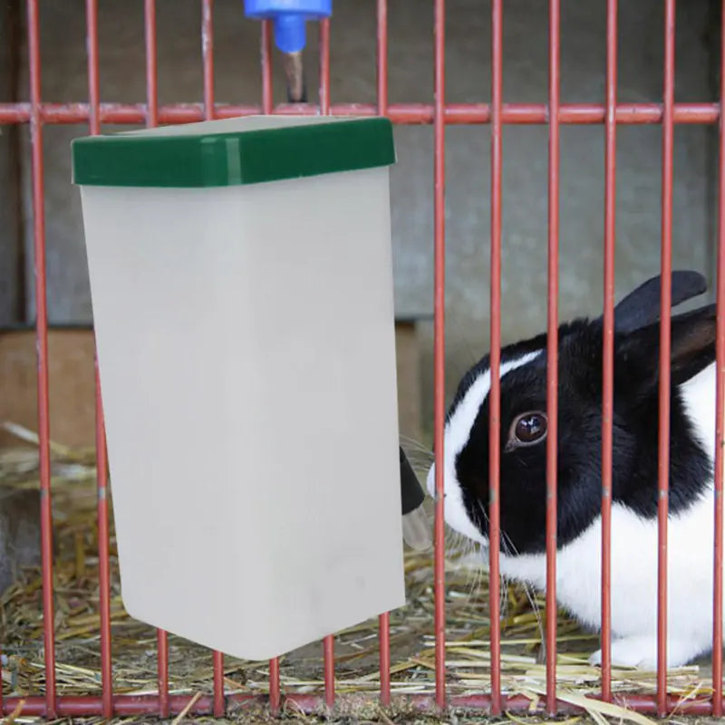 Dispensador Automático de Água para Coelhos