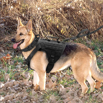 Colete Tático K9